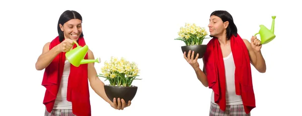 Jovem homem regando flores isoladas em branco — Fotografia de Stock