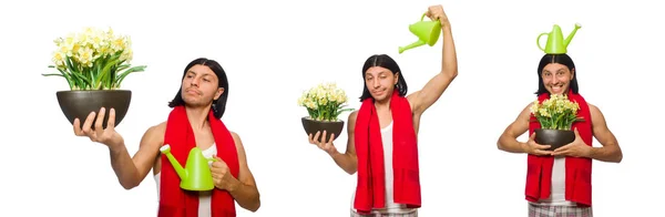 Jovem homem regando flores isoladas em branco — Fotografia de Stock