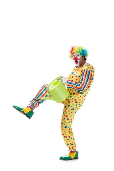 Lustige Clown isoliert auf weißem Hintergrund — Stockfoto