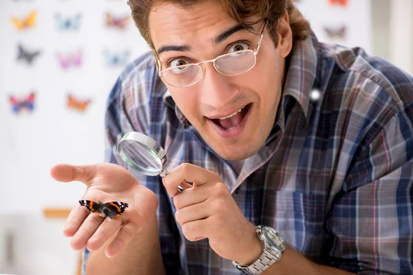 Entomologista estudante estudando novas espécies de borboletas — Fotografia de Stock