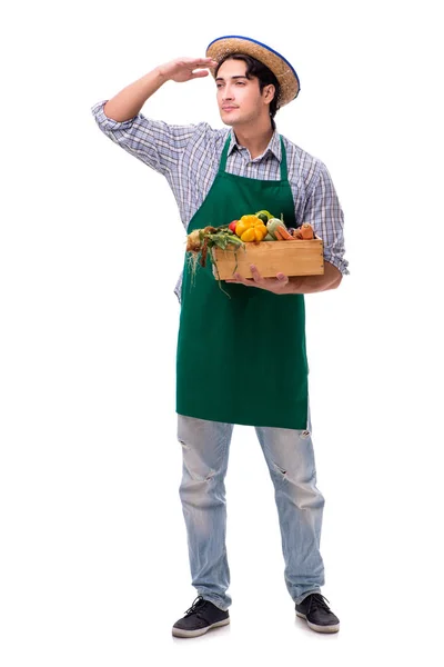 Joven agricultor con productos frescos aislados sobre fondo blanco — Foto de Stock