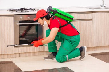 Profesyonel yüklenici mutfak at haşere kontrolü yapıyor