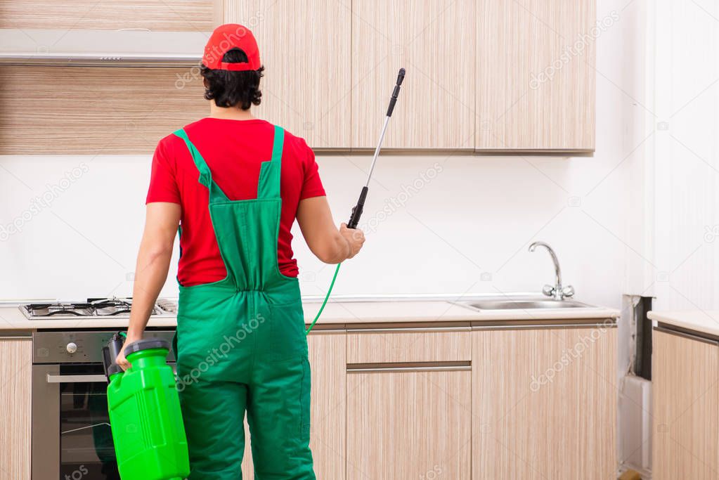 Professional contractor doing pest control at kitchen