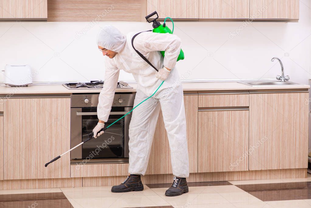 Professional contractor doing pest control at kitchen