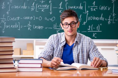 Genç erkek öğrenci okulda matematik