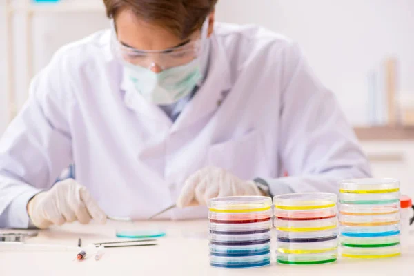 Young chemist working in the lab — Stock Photo, Image