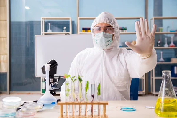 Hombre biotecnológico científico químico que trabaja en el laboratorio —  Fotos de Stock