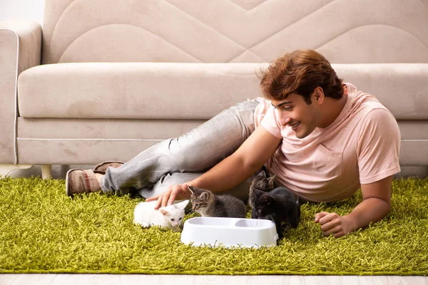 Jovem brincando com gatinho em casa — Fotografia de Stock