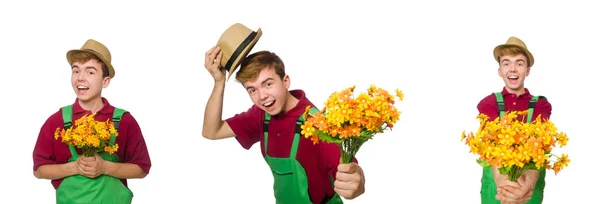Jardineiro jovem com flor isolada em branco — Fotografia de Stock