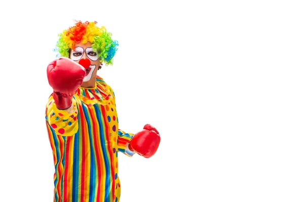 Male clown isolated on white — Stock Photo, Image