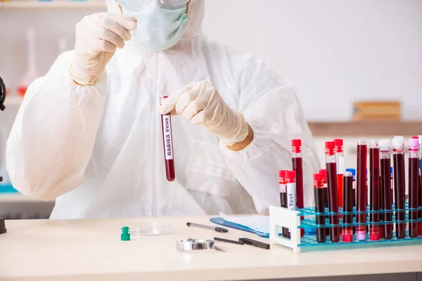 Asistente de laboratorio joven guapo analizando muestras de sangre en el hospital — Foto de Stock