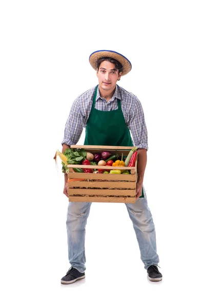 Jovem agricultor com produtos frescos isolados sobre fundo branco — Fotografia de Stock