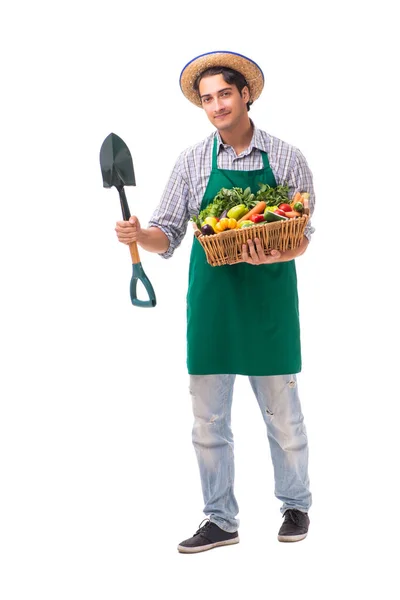 Young farmer with fresh produce isolated on white background Stock Photo