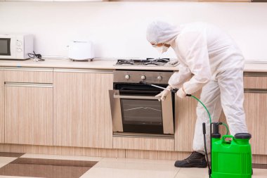 Profesyonel yüklenici mutfak at haşere kontrolü yapıyor