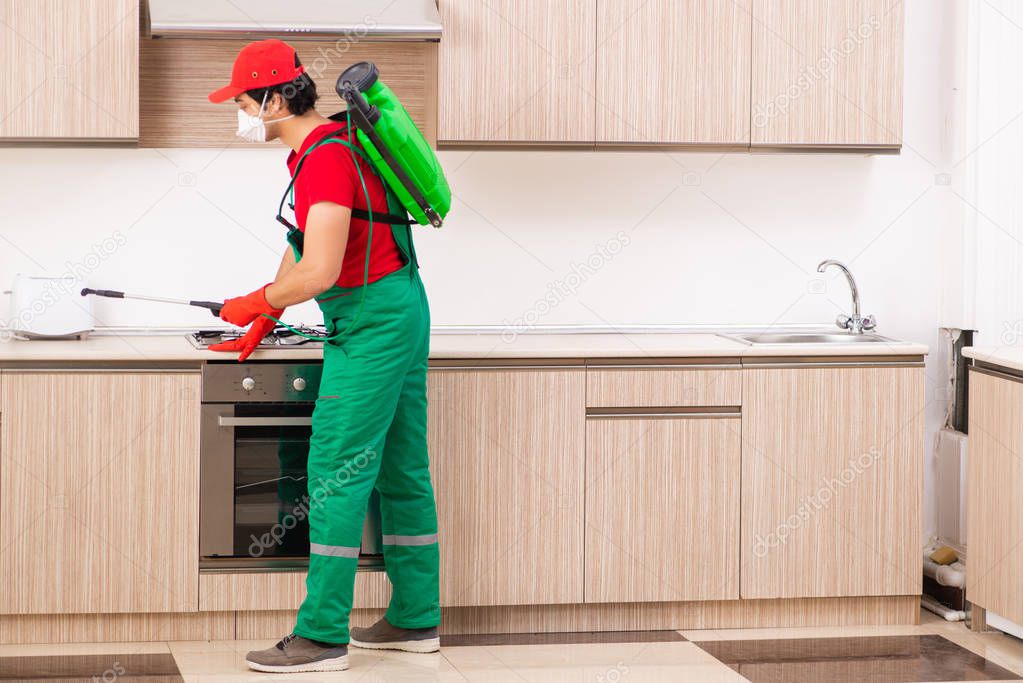 Professional contractor doing pest control at kitchen