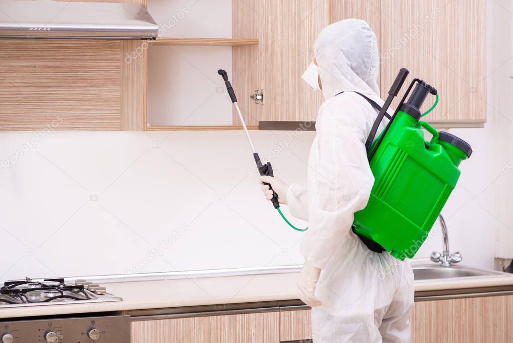 Professional contractor doing pest control at kitchen