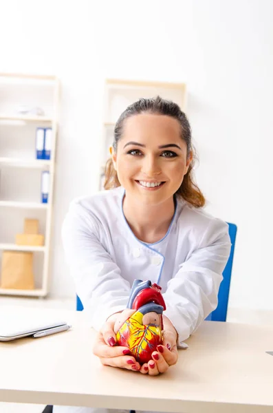 Unga kvinnliga läkare kardiolog sitter på sjukhuset — Stockfoto