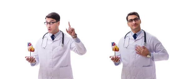 Junger Arzt mit Herzform isoliert auf weiß — Stockfoto