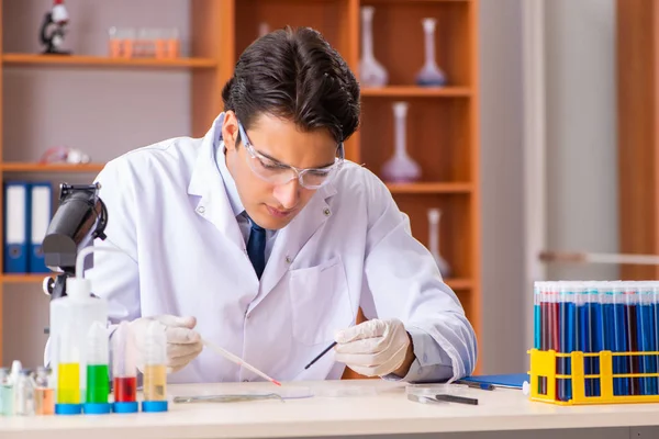 Jeune beau biochimiste travaillant dans le laboratoire — Photo