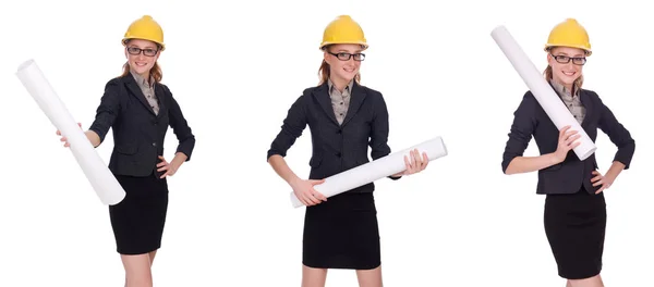 Arquitecta femenina con plano aislado en blanco — Foto de Stock