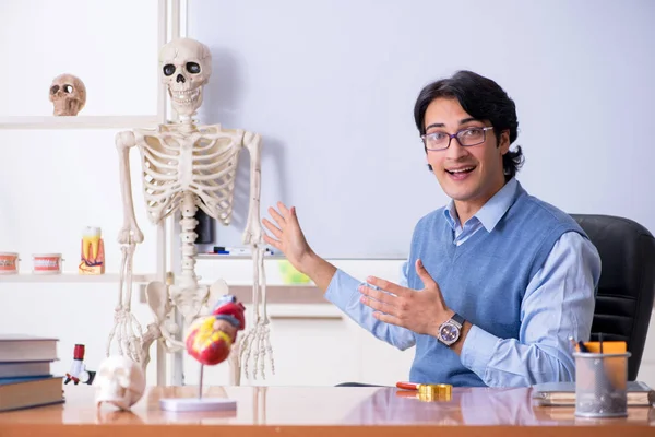 Молодой преподаватель преподает анатомию — стоковое фото