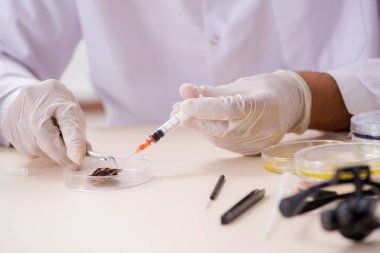 Bilim adamı böcek bilimci yeni kelebek türlerini inceliyor