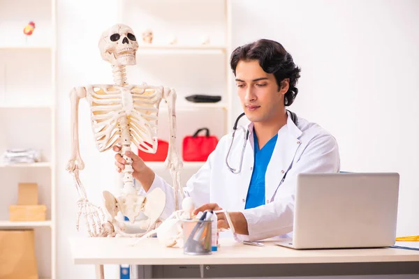 Jovem médico masculino com esqueleto — Fotografia de Stock