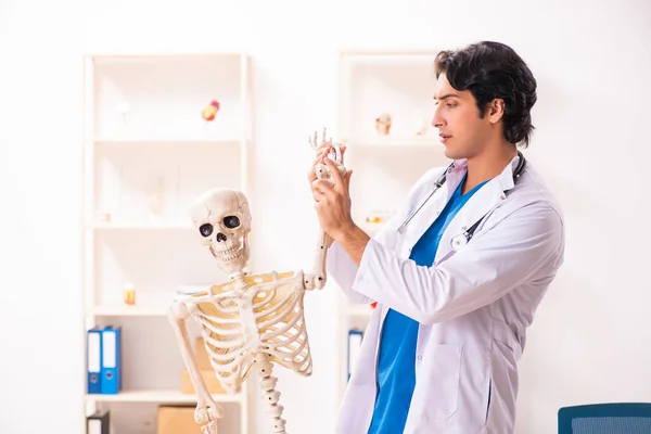 Jonge mannelijke arts met skelet — Stockfoto