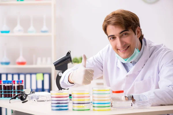 Joven químico trabajando en el laboratorio — Foto de Stock