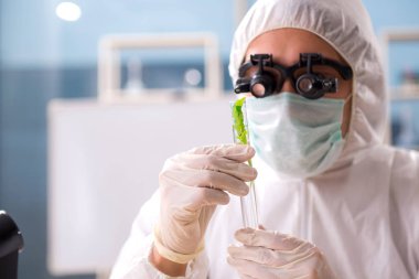 Laboratuarda çalışan erkek biyoteknoloji bilim adamı kimyacı 