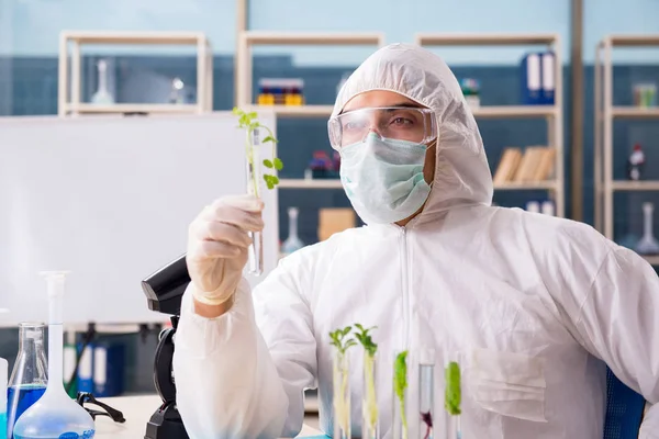 Hombre biotecnológico científico químico que trabaja en el laboratorio —  Fotos de Stock