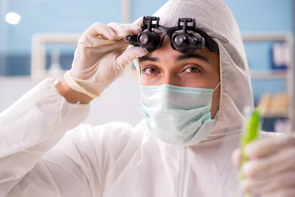 Чоловічий біотехнолог хімік, що працює в лабораторії — стокове фото