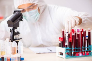 Genç yakışıklı laboratuvar asistanı hastanede kan örnekleri test ediyor. 