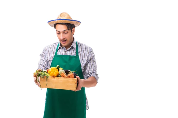 Jovem agricultor com produtos frescos isolados sobre fundo branco — Fotografia de Stock