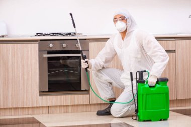 Profesyonel yüklenici mutfak at haşere kontrolü yapıyor