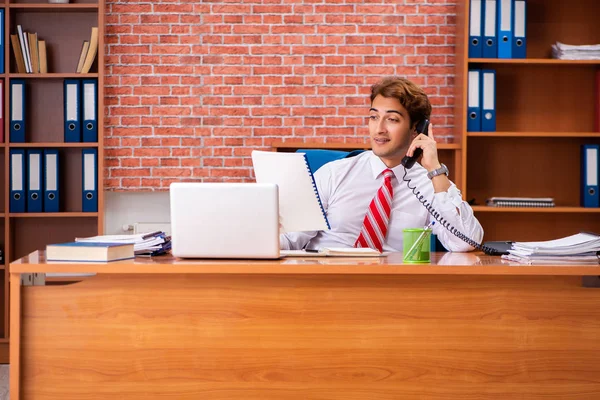 Junge hübsche Angestellte sitzen im Büro — Stockfoto