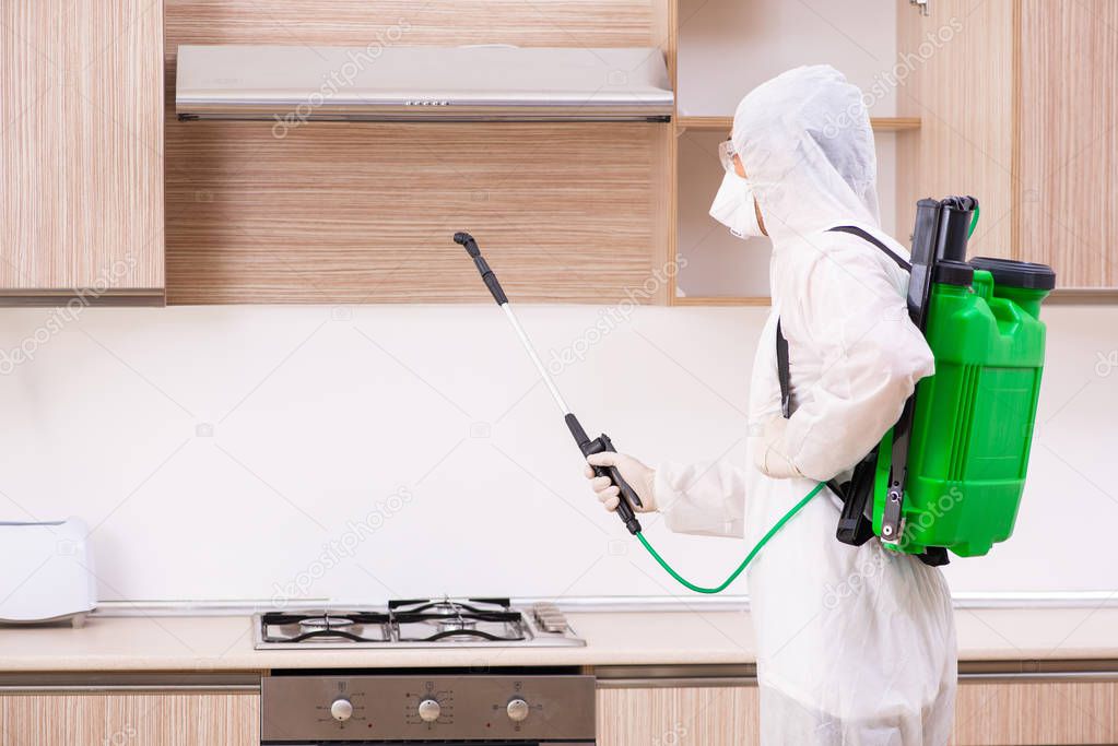 Professional contractor doing pest control at kitchen