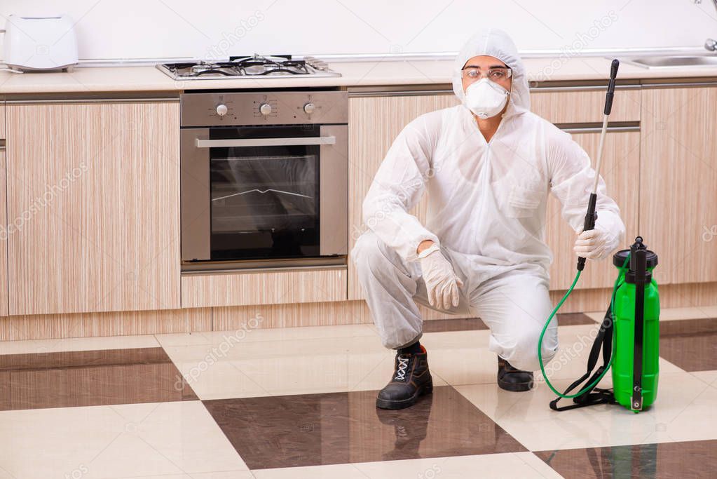 Professional contractor doing pest control at kitchen