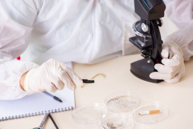 Laboratuarda çalışan genç uzman kriminoloji uzmanı 
