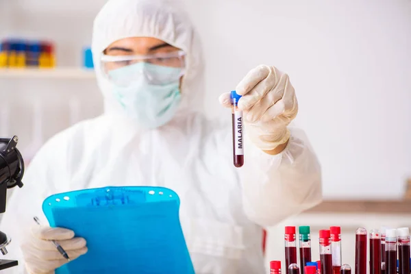Genç yakışıklı laboratuvar asistanı hastanede kan örnekleri test ediyor. — Stok fotoğraf