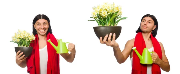 Jeune homme arrosant des fleurs isolées sur blanc — Photo