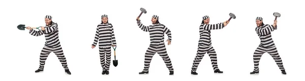 Prison inmate with spade isolated on white — Stock Photo, Image