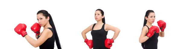 Жінка боксер ізольована на білому — стокове фото