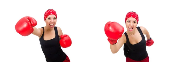 Vrouw bokser geïsoleerd op de witte — Stockfoto