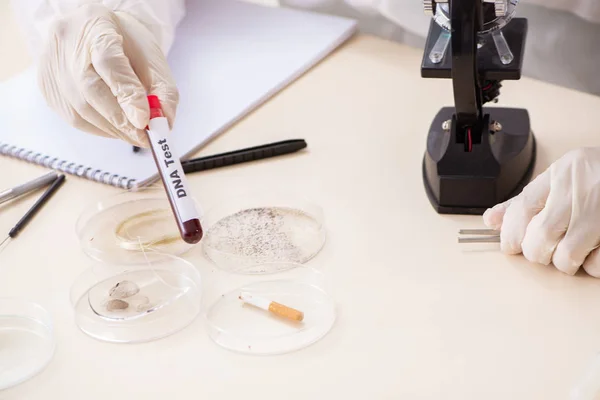 Joven criminólogo experto trabajando en el laboratorio — Foto de Stock