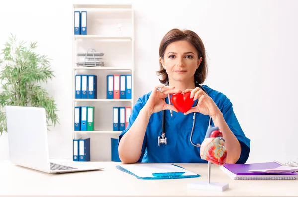 Kvinnliga läkare kardiolog arbetar på sjukhuset — Stockfoto