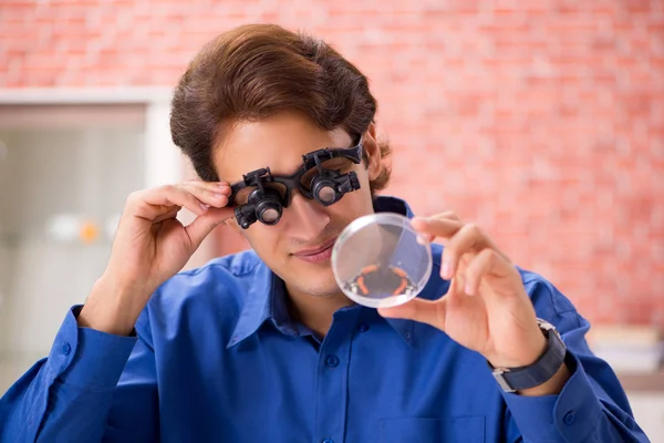 Studenten entomoloog bestudeert nieuwe soorten vlinders — Stockfoto