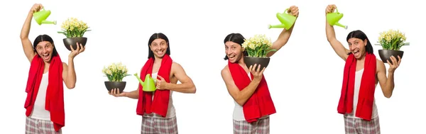 Jovem homem regando flores isoladas em branco — Fotografia de Stock