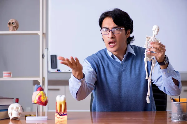 Young lecturer teacher teaching anatomy — Stock Photo, Image