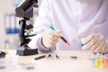 Erkek böcekbilimci laboratuvarda yeni türler üzerinde çalışıyor.